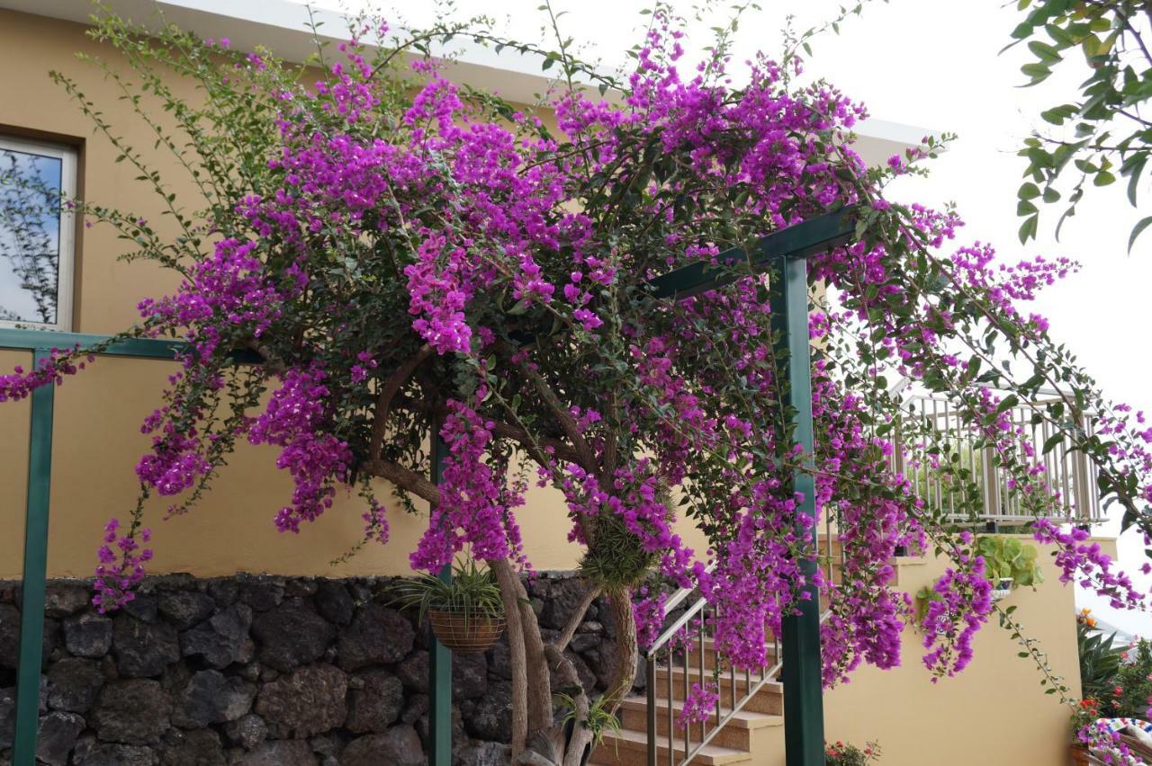 Casa Aloe Villa El Paso Kültér fotó
